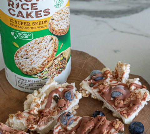 Chocolate & Blueberry ice rice bars